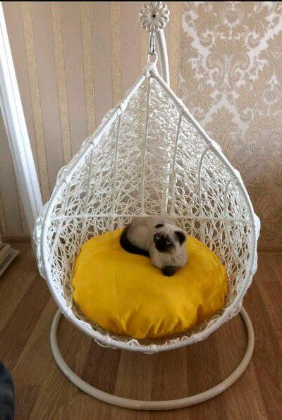 Купить подвесное кресло для животных в Украине